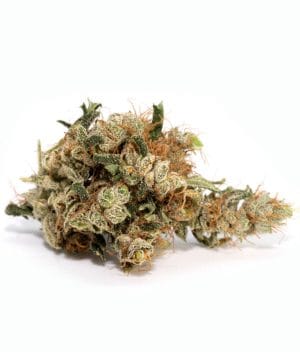 CBG Soul (15% CBG )
