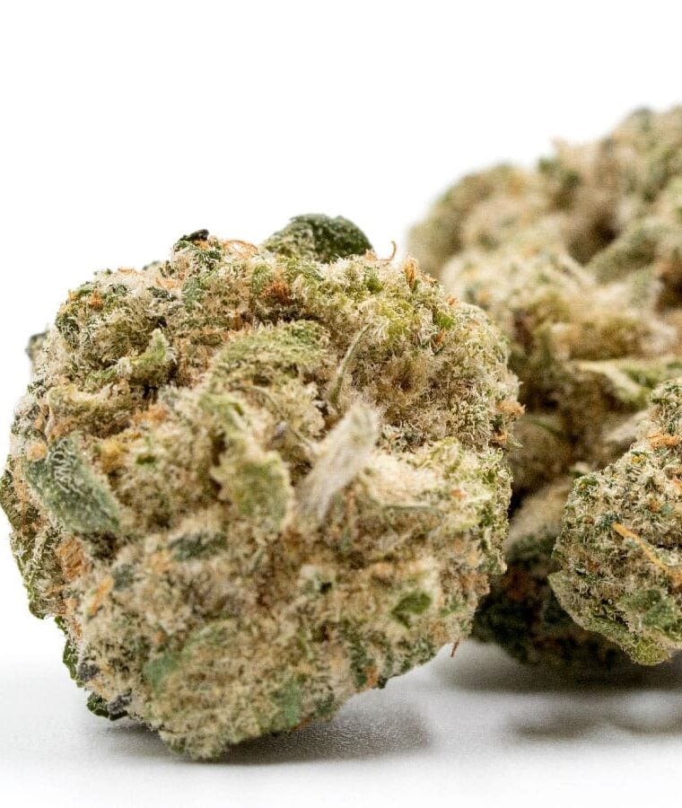 cheese_autoflower.jpg