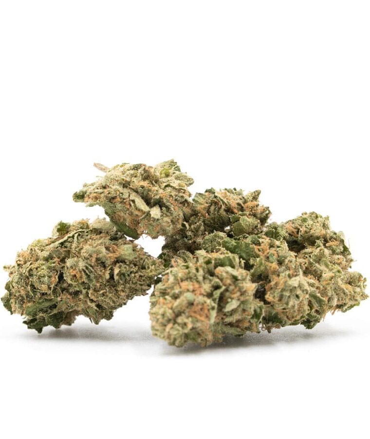 cinderella_99_x_somango.jpg