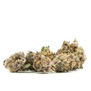Cream Candy Autoflower