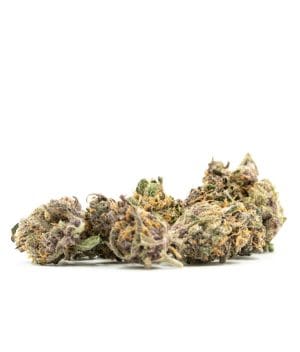 Cream Candy Autoflower