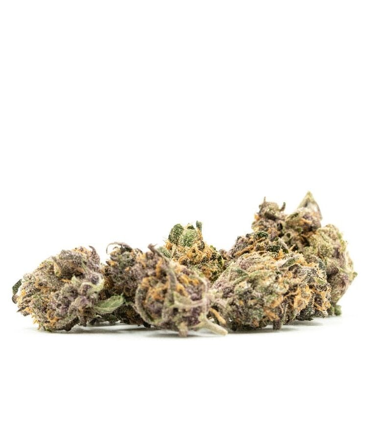 cream_candy_autoflower.jpg