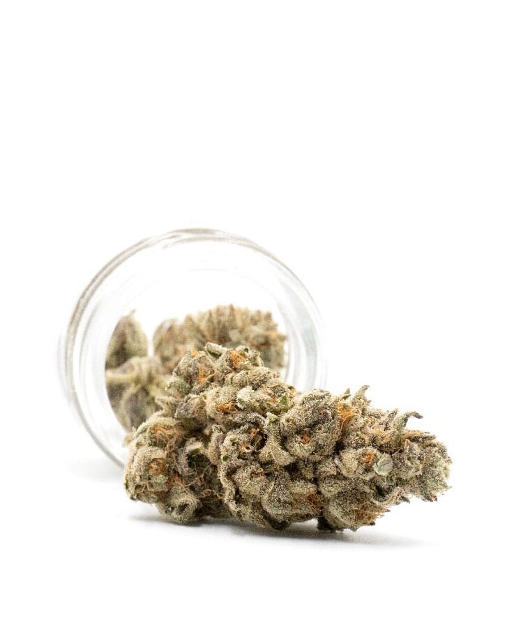 girl_scout_cookies_x_cheese.jpg