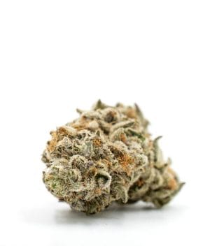 Girl Scout Cookies x Jack Herer