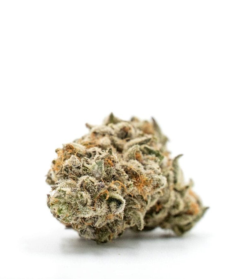 girl_scout_cookies_x_jack_herer.jpg