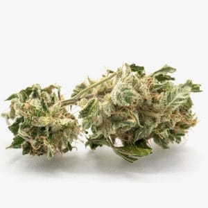 Maui Waui