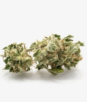 Maui Waui