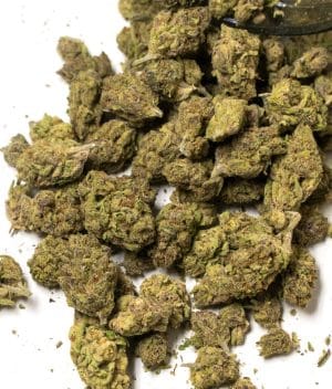 Purple Punch