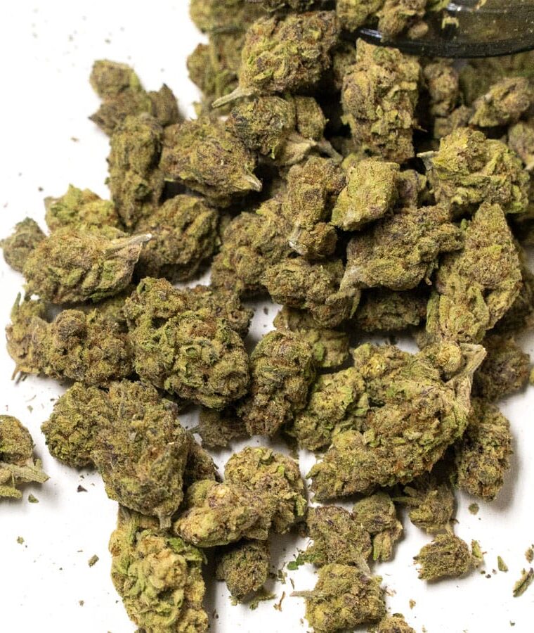 purple_punch.jpg