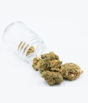 White Fire OG