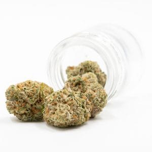 White Widow x AK47 Fast Version