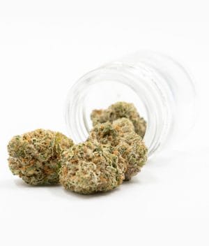 White Widow x AK47 Fast Version