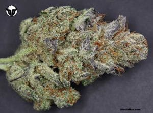 501st OG