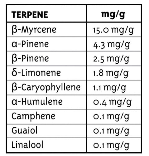 All Gas OG cannabis seeds – Appetite Stimulant – Super Strength – Female seeds – image 2 from Seed City