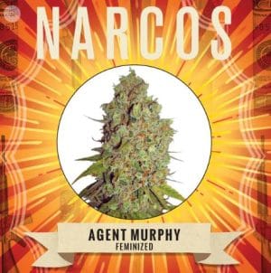 Agent Murphy