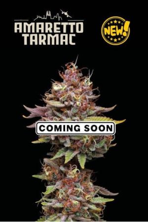 Amaretto Tarmac