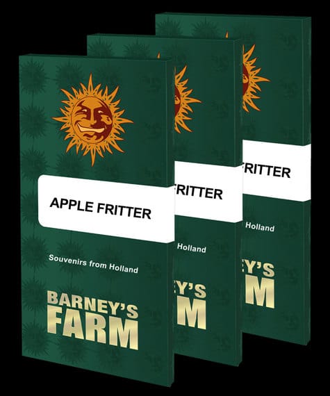 Apple Fritter from Barneys Farm Seeds