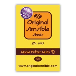 Apple Fritter Auto
