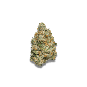Apple Fritter Autoflower