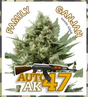 Auto AK-47