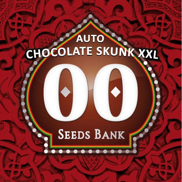 Auto Chocolate Skunk XXL from OO Seeds
