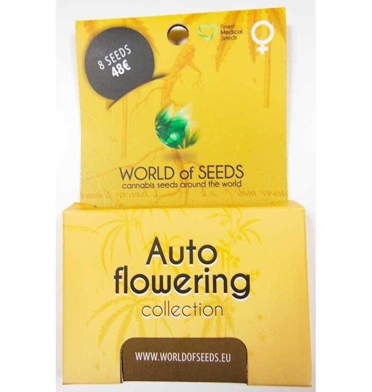 Auto Collection cannabis seeds – Fruity – Resistant to Pests – Indoor – image 1 from Seed City