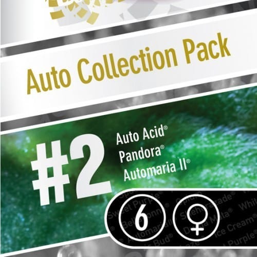Auto Collection Pack #2 cannabis seeds – Outdoor – Auto-Flowering – Uplifting – image 1 from Seed City