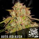Auto Jedi Kush cannabis seeds – Coffee – Female seeds – Relaxing – image 1 from Seed City