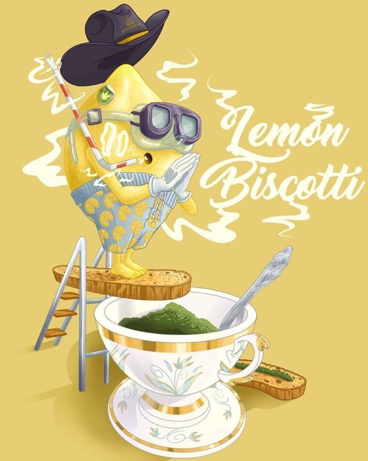 Auto Lemon Biscotti cannabis seeds – Super Strength – Auto-Flowering – Outdoor – image 1 from Seed City