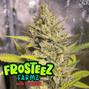 Auto PopTartz