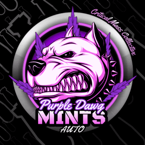 Auto Purple Dawg Mints