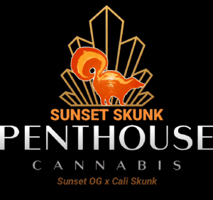 Auto Sunset Skunk