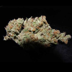 Auto Zombie Haze