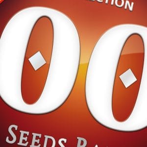 Autofem Collection 4 from OO Seeds