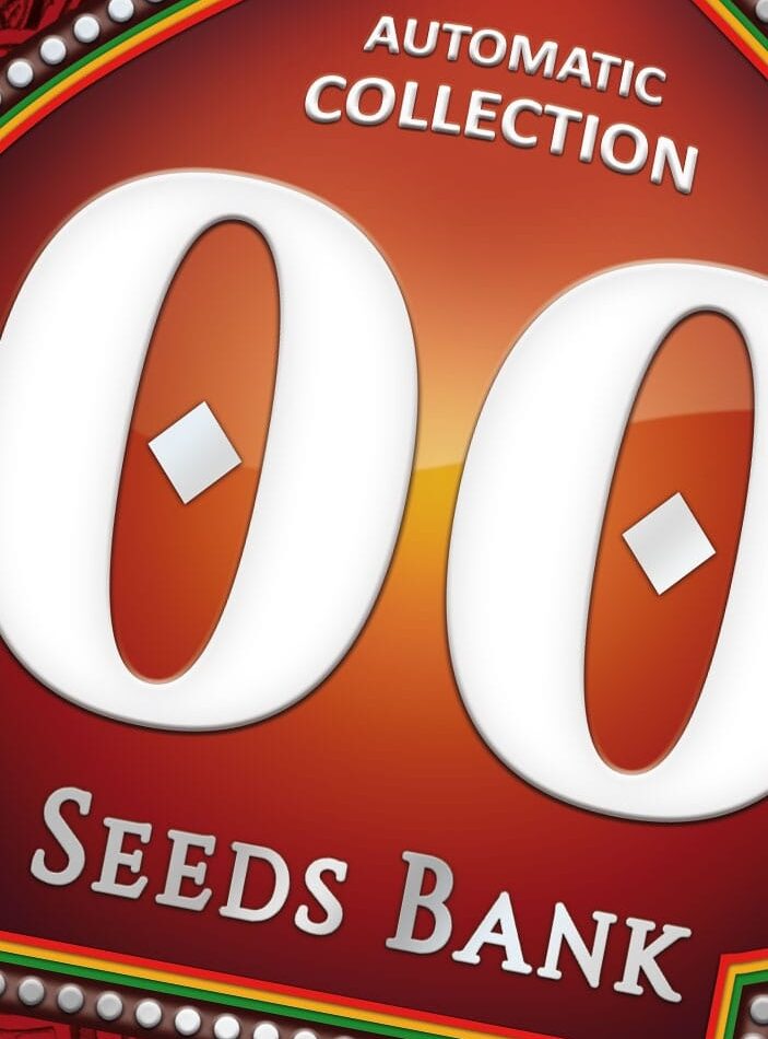 Autofem Collection 4 from OO Seeds