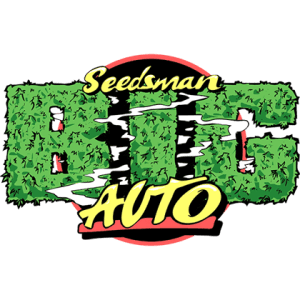 B.I.G. Auto