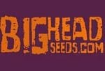 Big Head Seeds