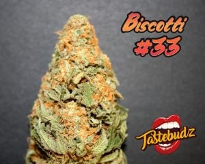 Biscotti #33 Auto