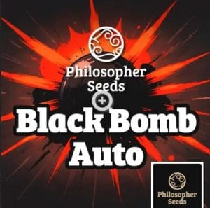 Black Bomb Auto