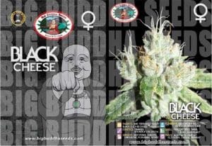 Black Cheese