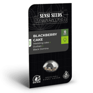 Blackberry Cake cannabis seeds – Good for outdoor grow – Creative – Mostly Indica – image 1 from Seed City