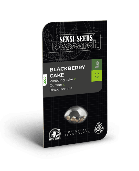 Blackberry Cake cannabis seeds – Good for outdoor grow – Creative – Mostly Indica – image 1 from Seed City