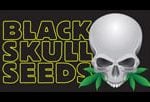 Blackskull Seeds