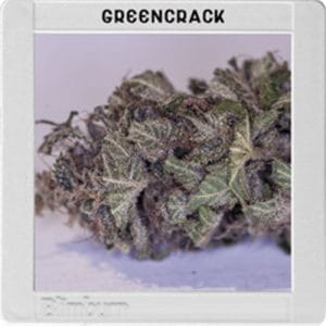 Blimburn America - Green Crack cannabis seeds – The End of September – Outdoor – Sweet – image 1 from Seed City