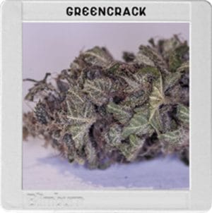 Blimburn America – Green Crack
