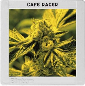 Blimburn America – Café Racer