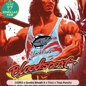 Blood Sport by Black Tuna Seeds – Guaranteed female plants – Indoor – Excellent harvest potential – image 1 – Seed City