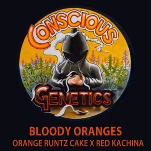 Bloody Oranges