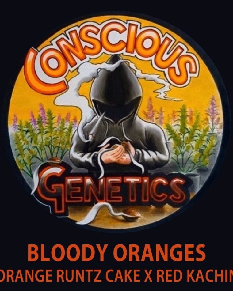 Bloody Oranges from Conscious Genetics