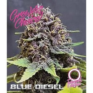 Blue Diesel Auto